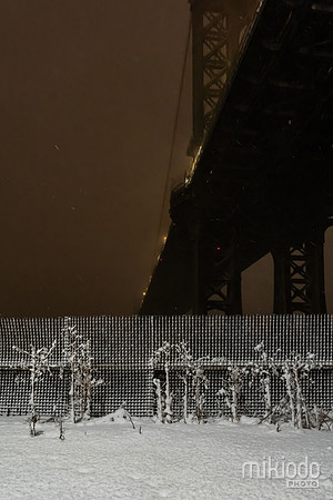 mikiodo260222_2581_LR