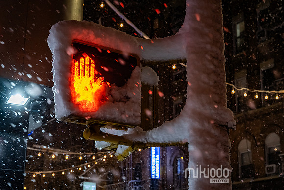 mikiodo260222_2488_LR