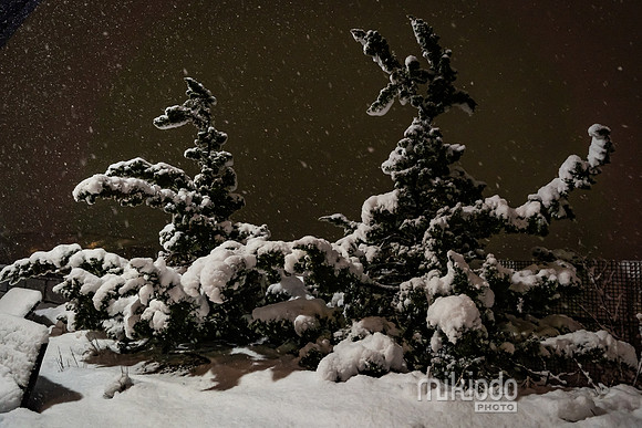 mikiodo260222_2630_LR