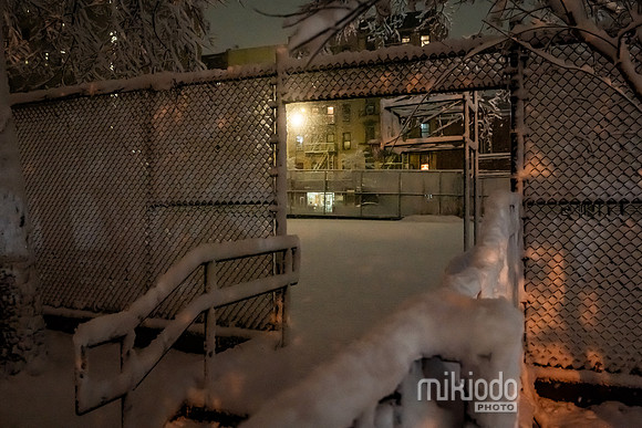 mikiodo260222_2531_LR