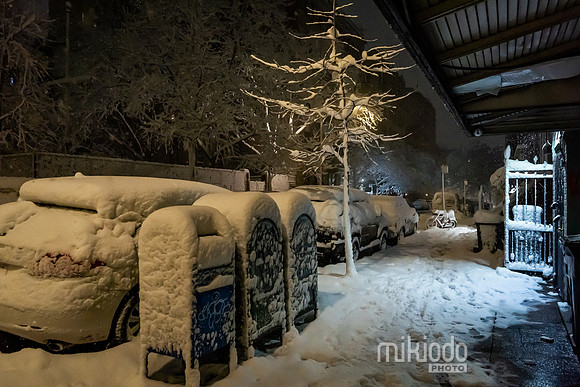 mikiodo260222_2652_LR