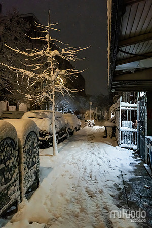 mikiodo260222_2650_LR