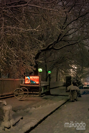 mikiodo260222_2659_LR