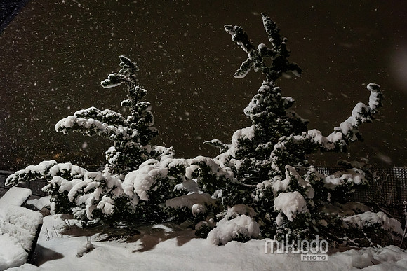 mikiodo260222_2631_LR