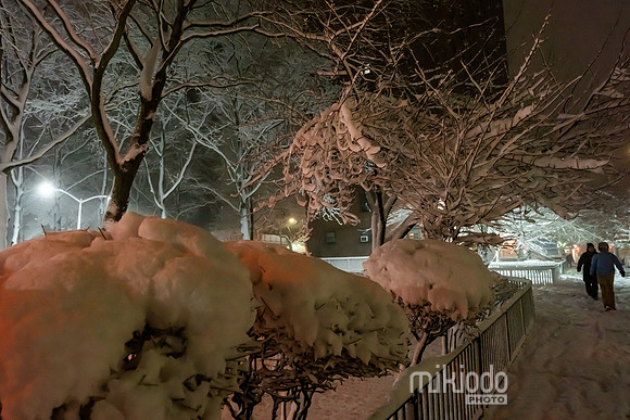 mikiodo260222_2643_LR