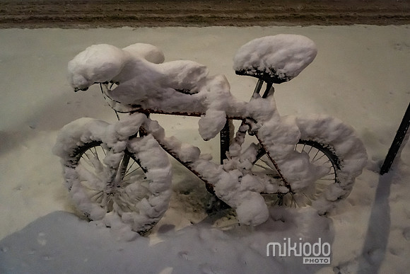 mikiodo260222_2688_LR