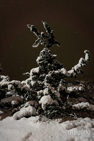 mikiodo260222_2628_LR