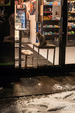 mikiodo260222_2777_LR