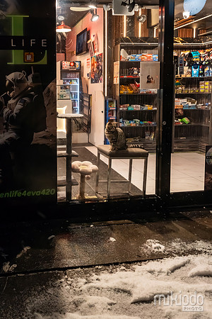 mikiodo260222_2775_LR