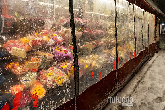 mikiodo260222_2779_LR