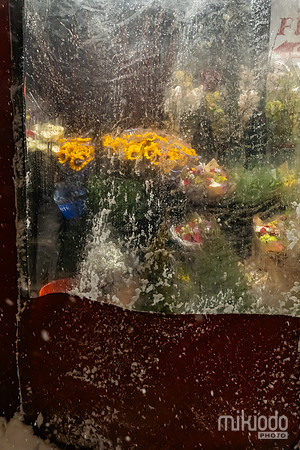 mikiodo260222_2783_LR