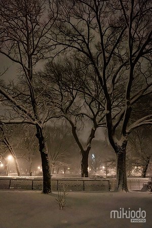 mikiodo260222_2804_LR