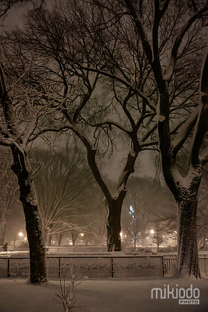 mikiodo260222_2807_LR