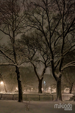 mikiodo260222_2808_LR