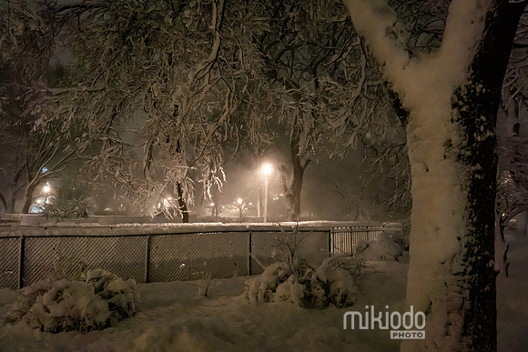 mikiodo260222_2822_LR