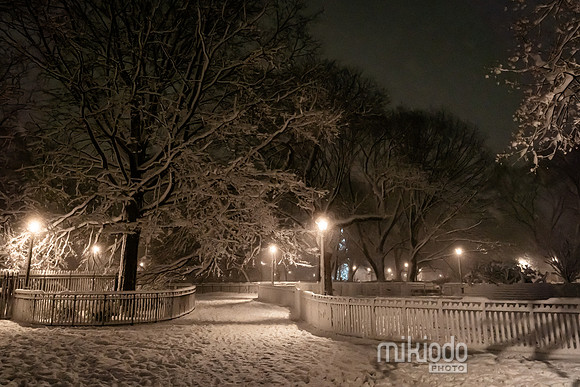 mikiodo260222_2825_LR