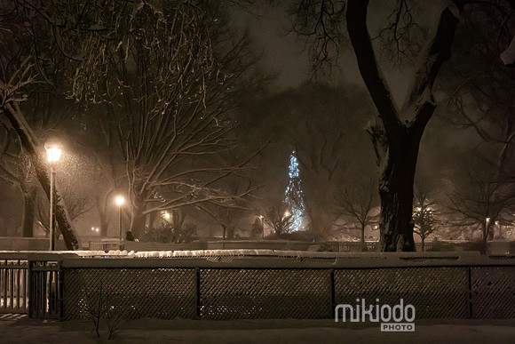 mikiodo260222_2812_LR