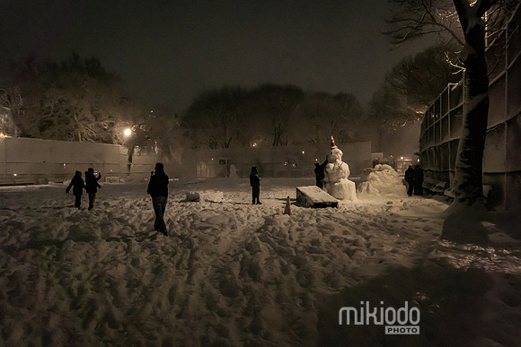 mikiodo260222_2828_LR