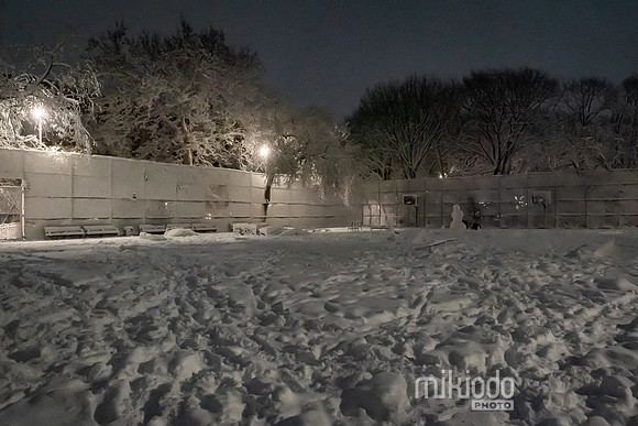 mikiodo260222_2854_LR