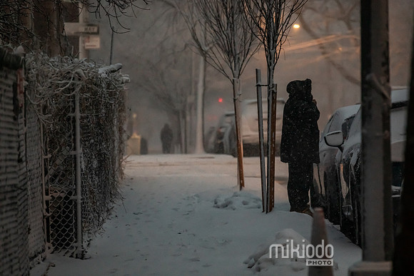 mikiodo260222_7887_LR