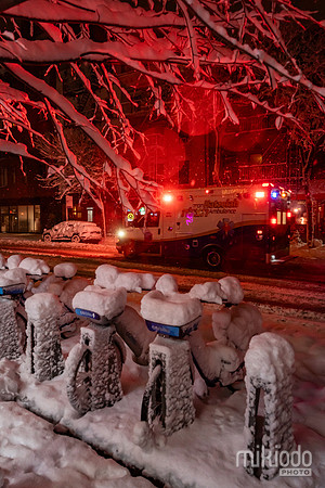 mikiodo260222_2893_LR