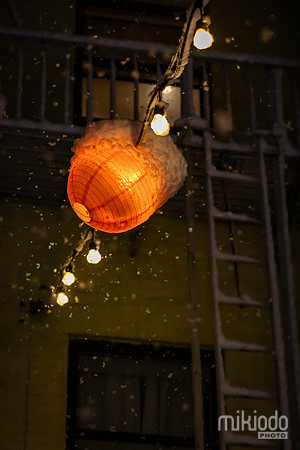 mikiodo260222_7966_LR