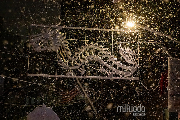 mikiodo260222_7967_LR