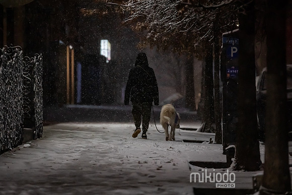 mikiodo260222_7909_LR