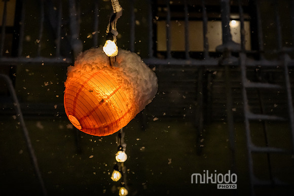 mikiodo260222_7962_LR