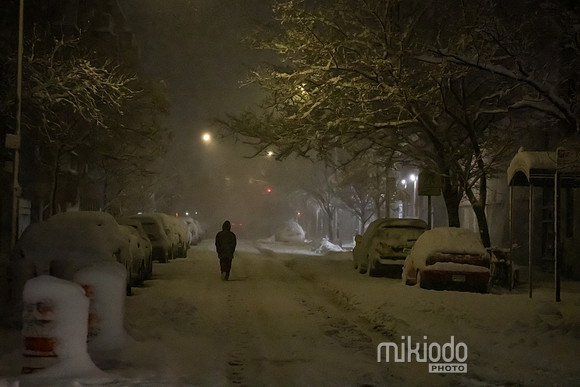 mikiodo260222_8091_LR