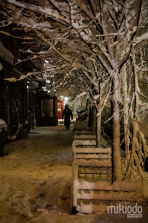 mikiodo260222_8103_LR