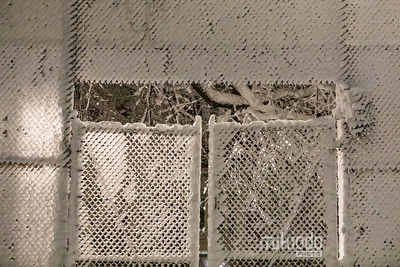 mikiodo260222_8133_LR
