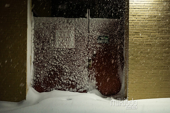 mikiodo260223_2904_LR