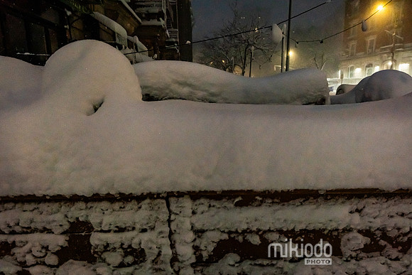 mikiodo260223_2923_LR
