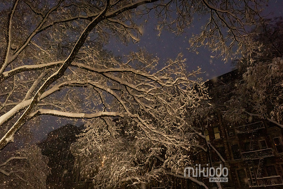 mikiodo260223_2939_LR