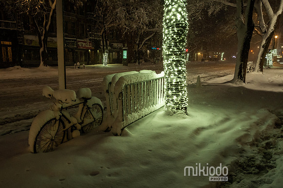 mikiodo260223_2938_LR