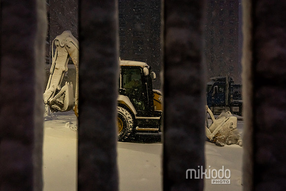 mikiodo260223_2971_LR