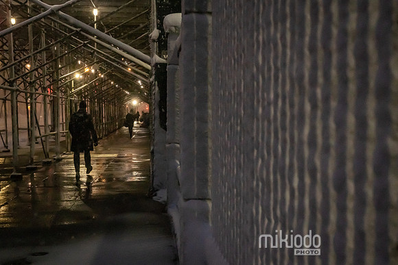 mikiodo260223_2957_LR