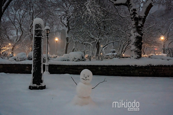 mikiodo260223_3028_LR