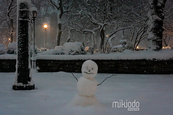 mikiodo260223_3031_LR