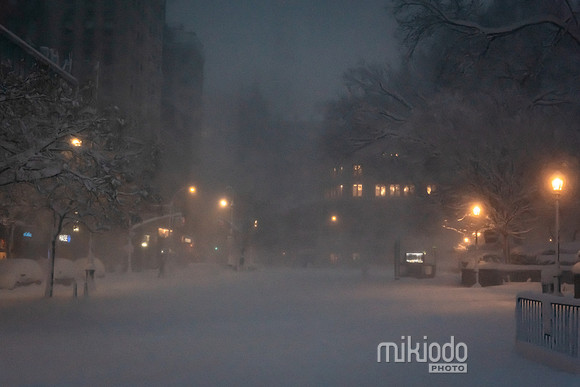 mikiodo260223_3023_LR