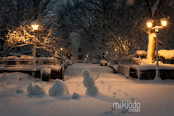 mikiodo260223_3032_LR