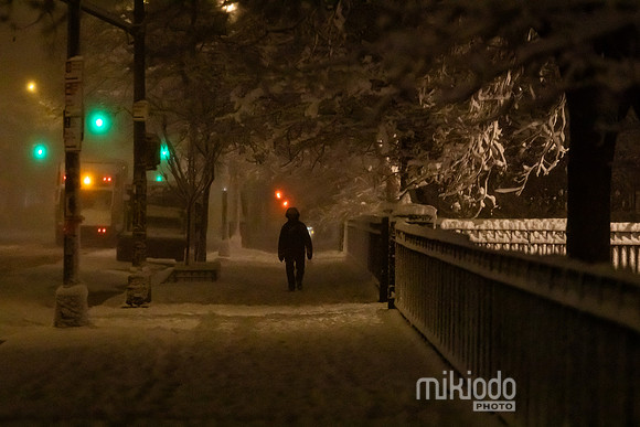mikiodo260222_8107_LR