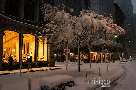 mikiodo260223_3072_LR