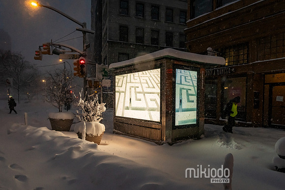 mikiodo260223_3052_LR