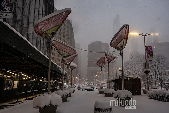 mikiodo260223_3116_LR