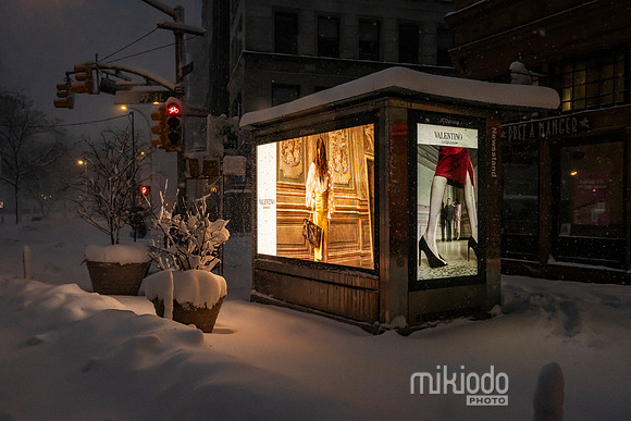 mikiodo260223_3057_LR