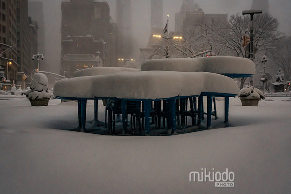 mikiodo260223_3134_LR