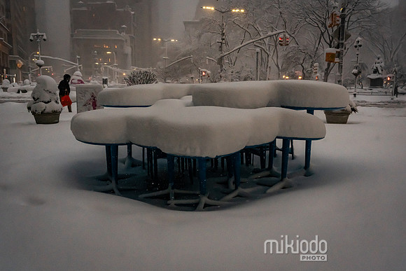 mikiodo260223_3139_LR