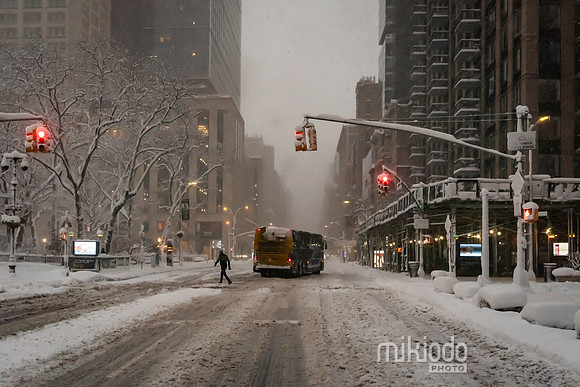 mikiodo260223_3146_LR